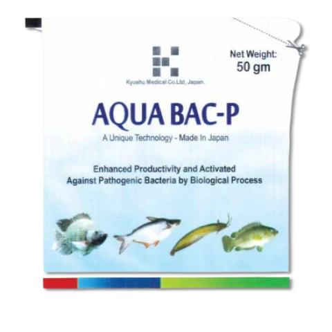 Enzyme with Gut Probiotics